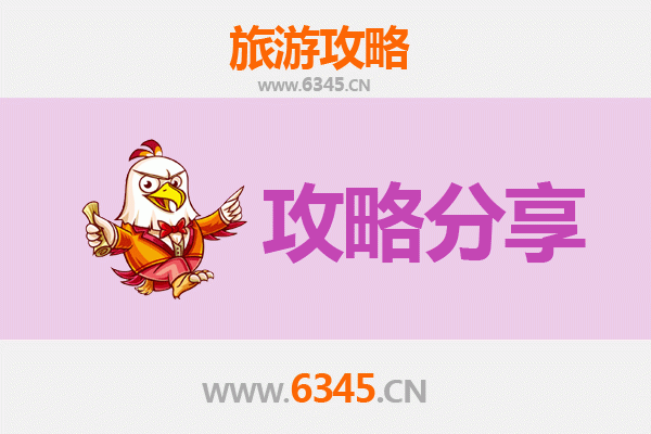 海东乐都至湄洲岛旅游攻略：跟团还是自由行深度解析